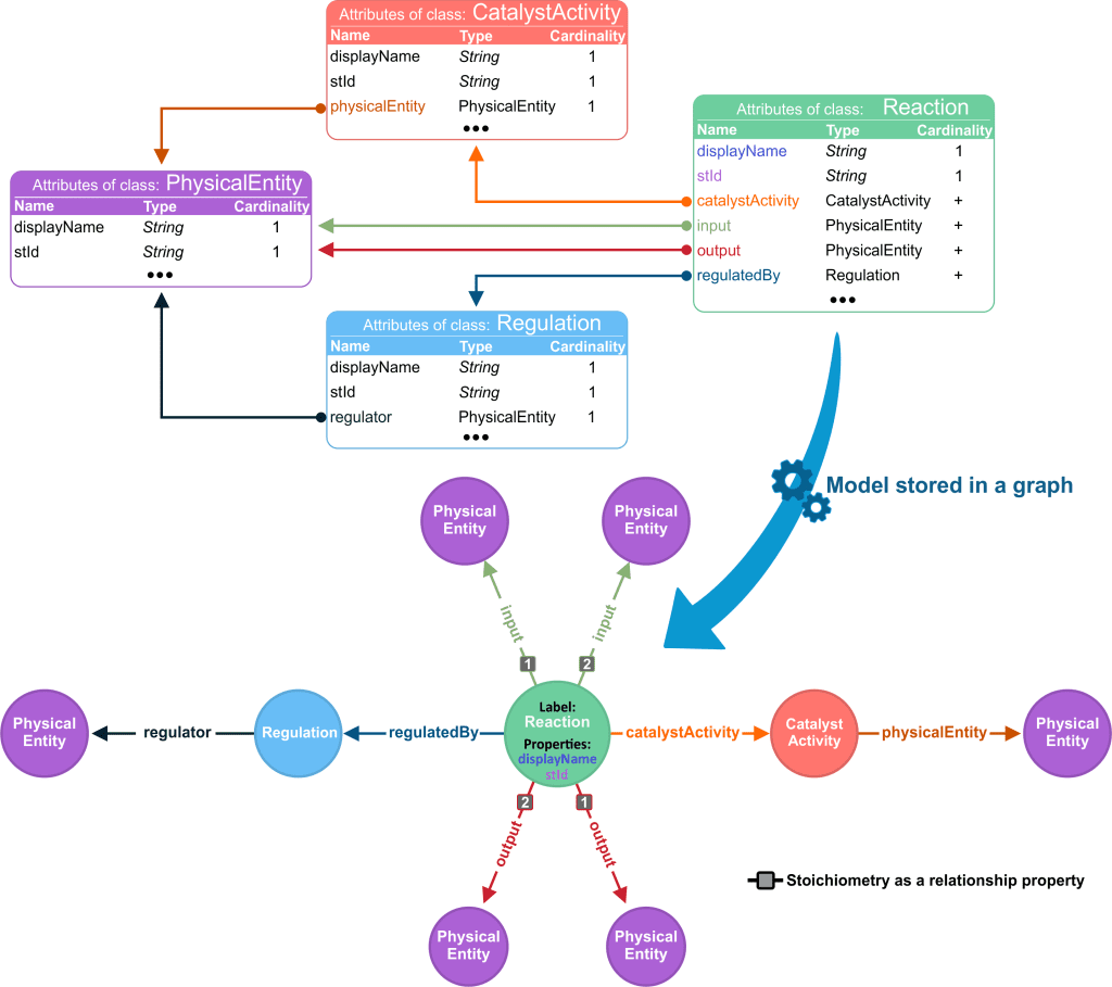 Knowledge Graph vs. Database