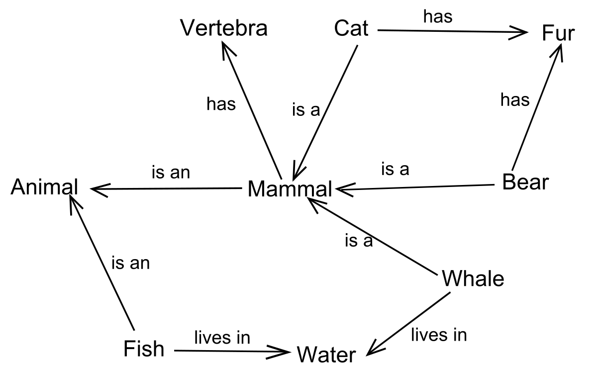 Semantic Network