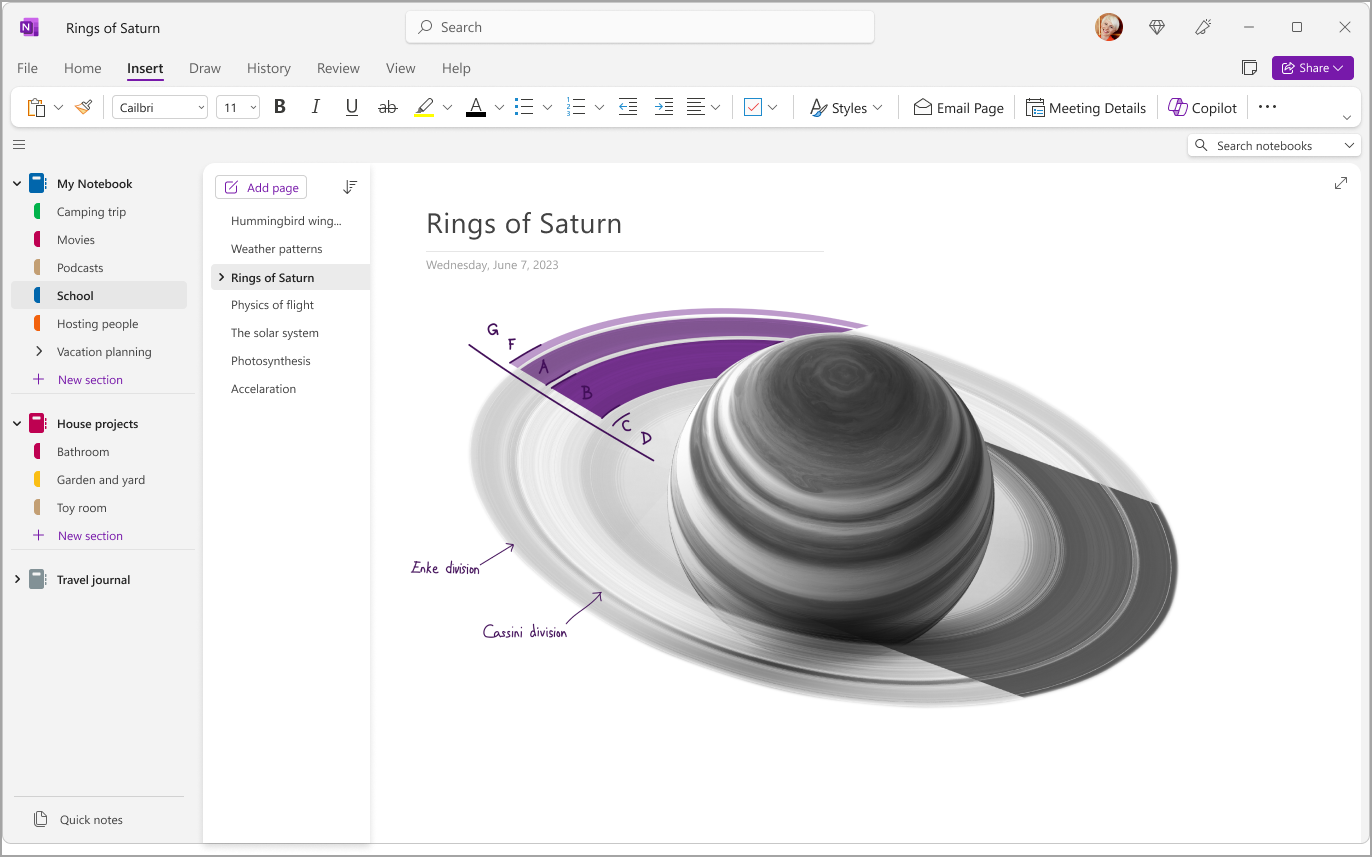 OneNote