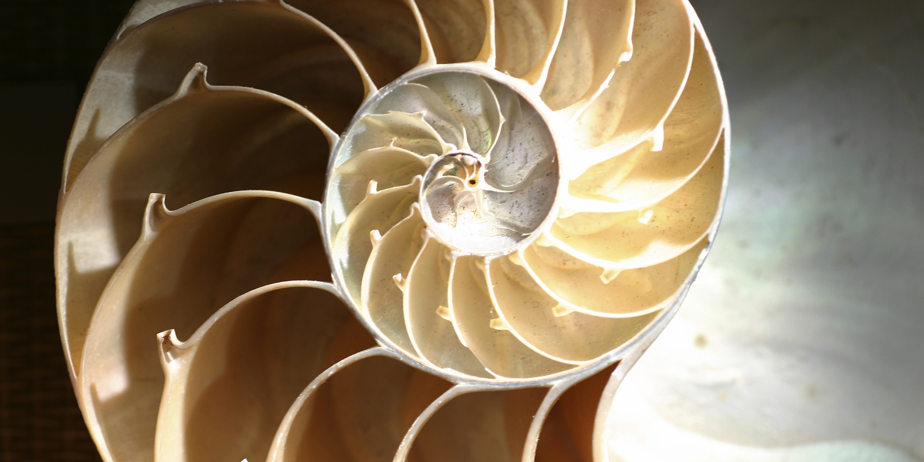 spiral